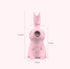 Kissing Bunny